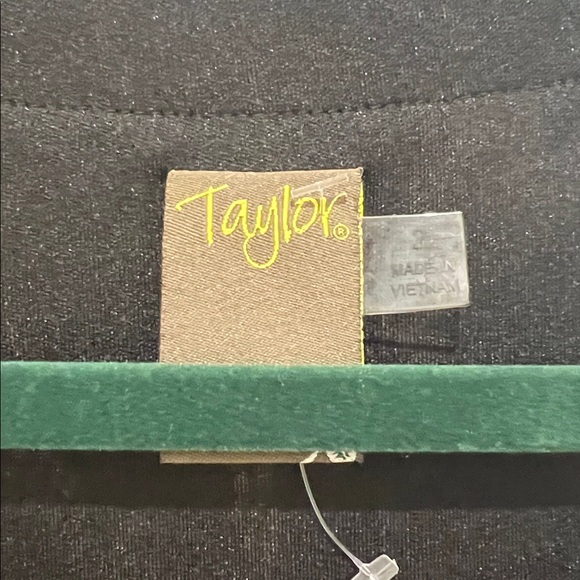 Taylor lace mini-dress - NWT - black lace overlay.  Size 2 - Picture 3 of 11